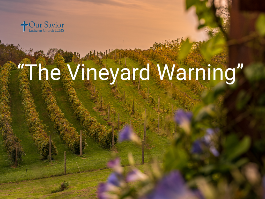 The vineyard warning: Our call to return